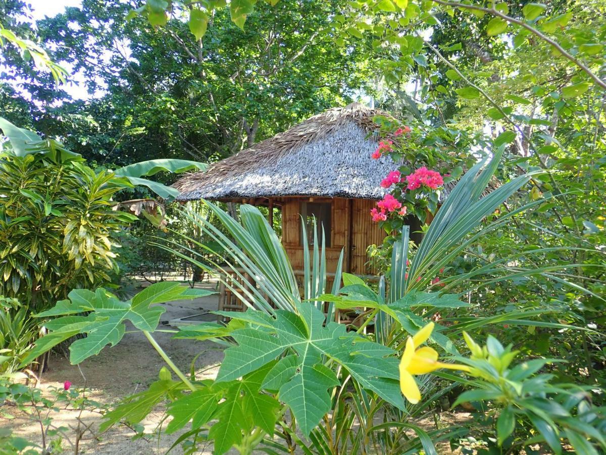 Casa Felicidad 호텔 엘니도 외부 사진